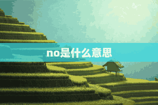 no是什么意思(no是什么意思英语)